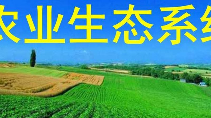 生鲜配送承包合同注意事项：规避风险，保障权益