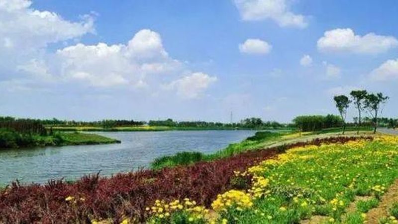 生态养殖方案设计流程：从源头保障绿色产出