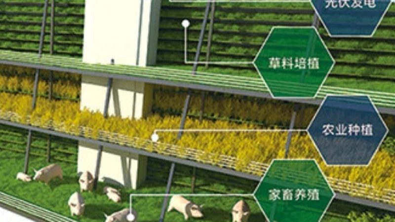 绿色食品认证，有效期那些事儿**