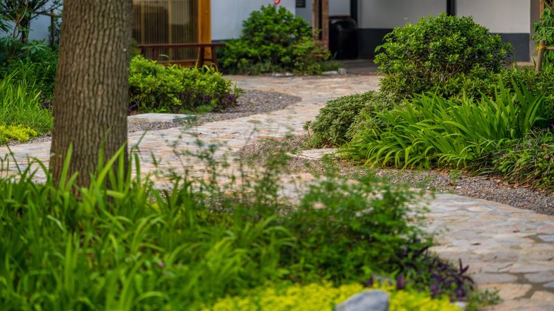 种植成本预算：如何科学预测利润**