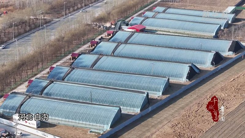家庭农场休闲农业项目定制：打造生态增收新路径**