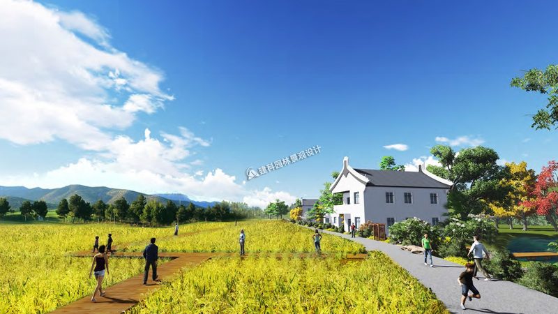 农村特色种植项目：挖掘农业新蓝海
