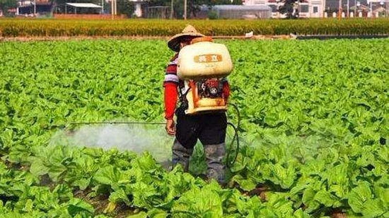 社区果蔬配送收费标准：揭秘背后的定价逻辑