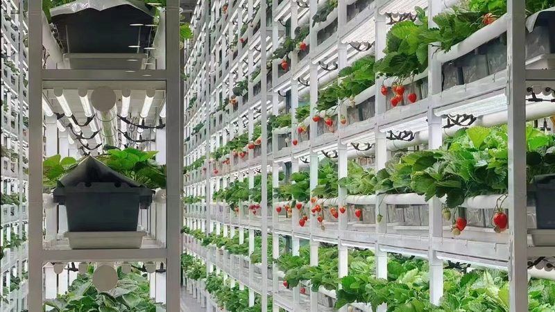 合作社代理记账，这些注意事项你不可不知