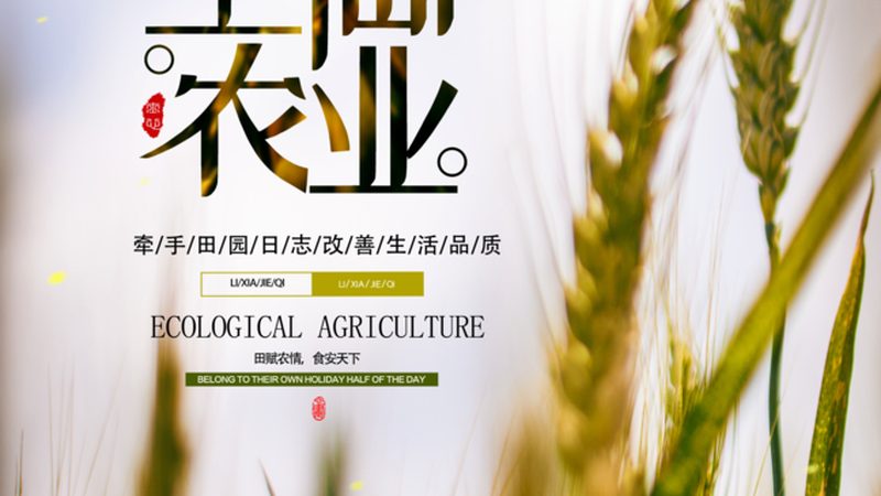 北京现代农业项目申报流程详解**